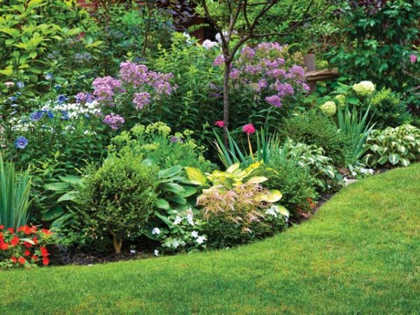Home - Warner Nursery - Warner Nursery